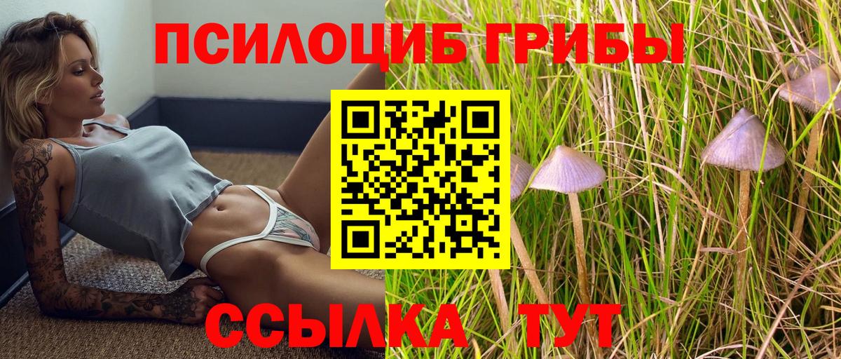 купить закладку  Вход с VPN  Верхняя Пышма  Псилоцибиновые грибы мухоморы 